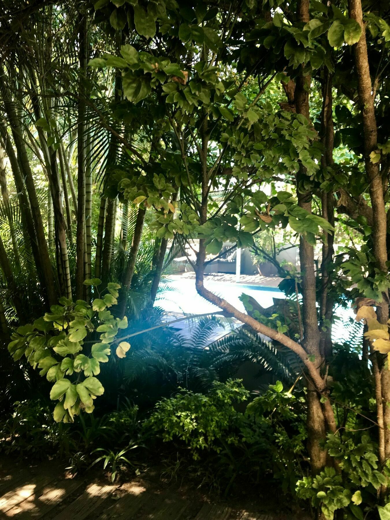Beach Forest Lodge Ballito Exterior foto